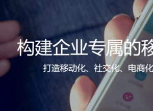 為何訂單管理SaaS能衍變成B2B電商？易訂貨CEO馮頡是這么說(shuō)的