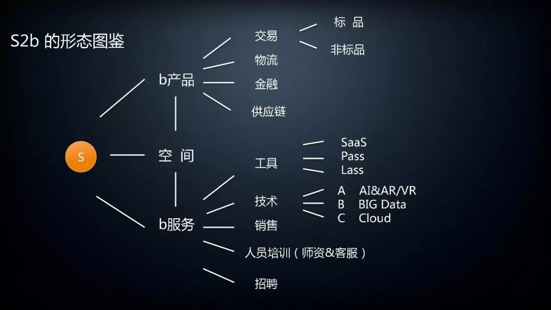 S2b的形態(tài)圖鑒