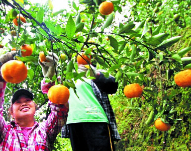 阿里與廣東簽署戰(zhàn)略協(xié)議 打造華南中心推農(nóng)村電商